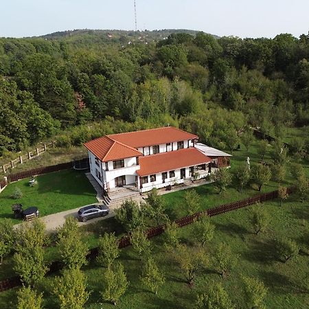 Pensiunea Emelys, Iasi Barnova Bagian luar foto
