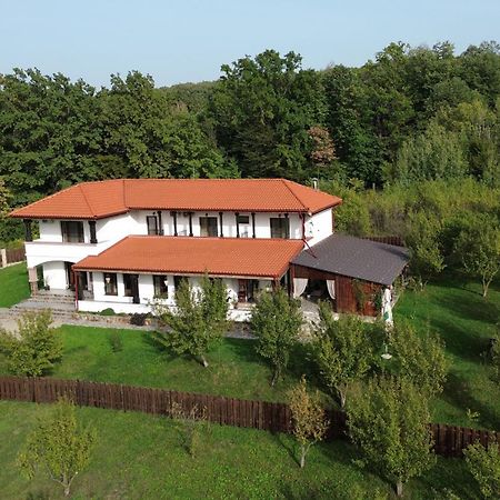 Pensiunea Emelys, Iasi Barnova Bagian luar foto
