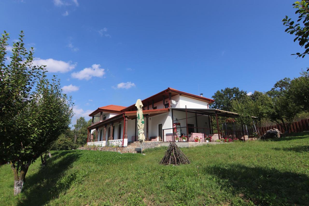Pensiunea Emelys, Iasi Barnova Bagian luar foto