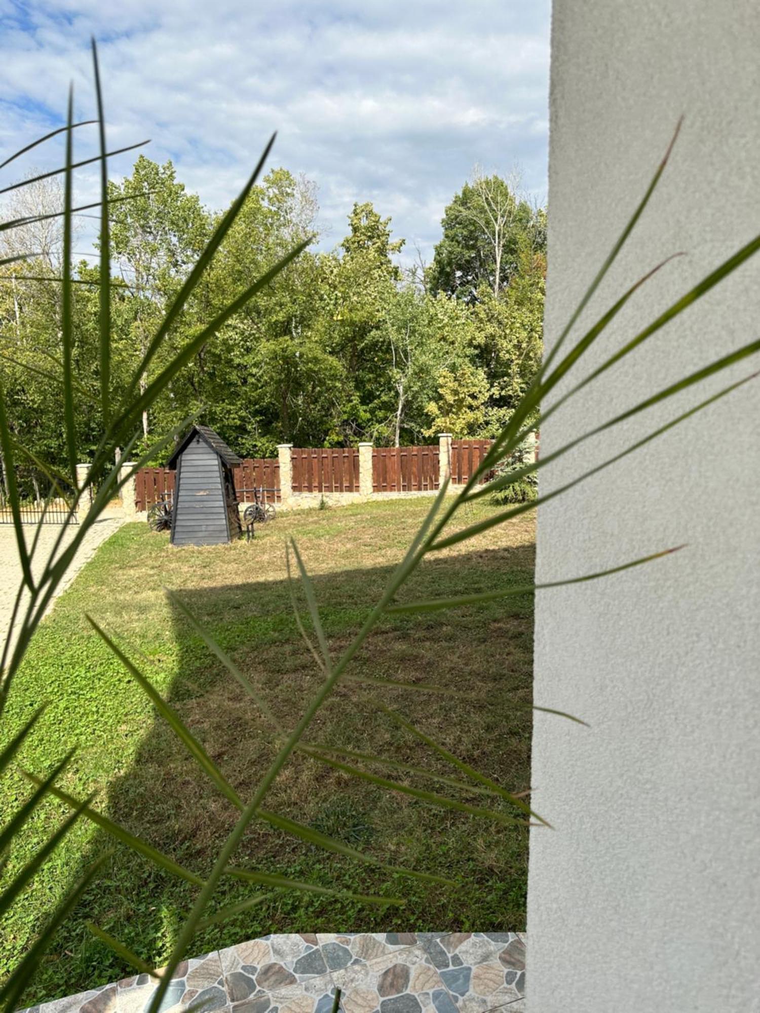 Pensiunea Emelys, Iasi Barnova Bagian luar foto