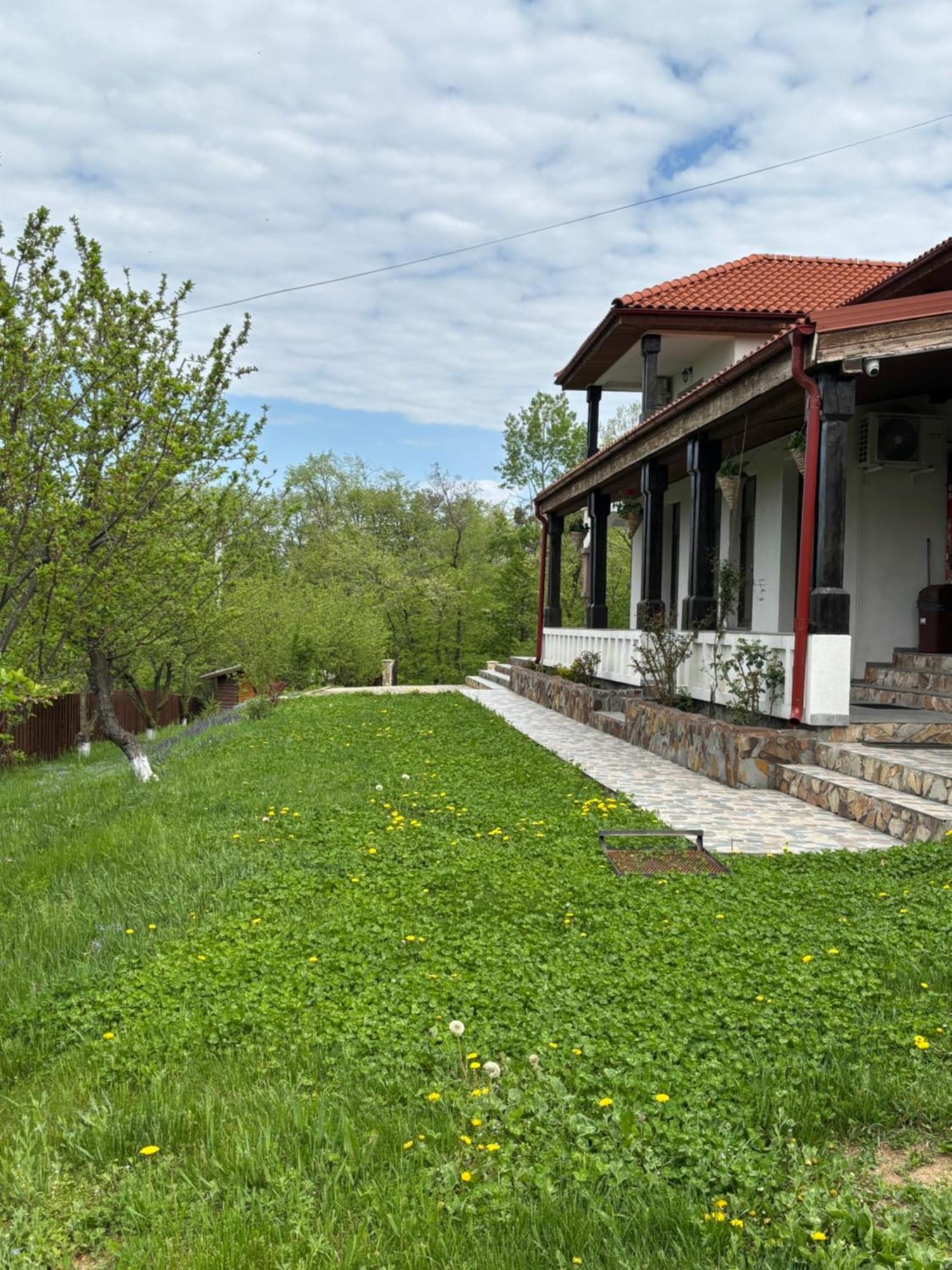 Pensiunea Emelys, Iasi Barnova Bagian luar foto