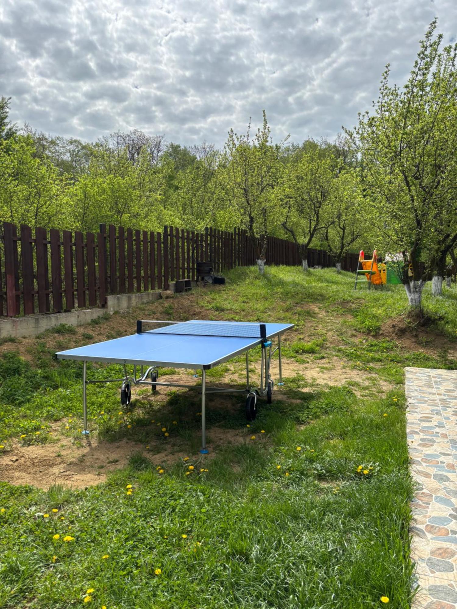 Pensiunea Emelys, Iasi Barnova Bagian luar foto